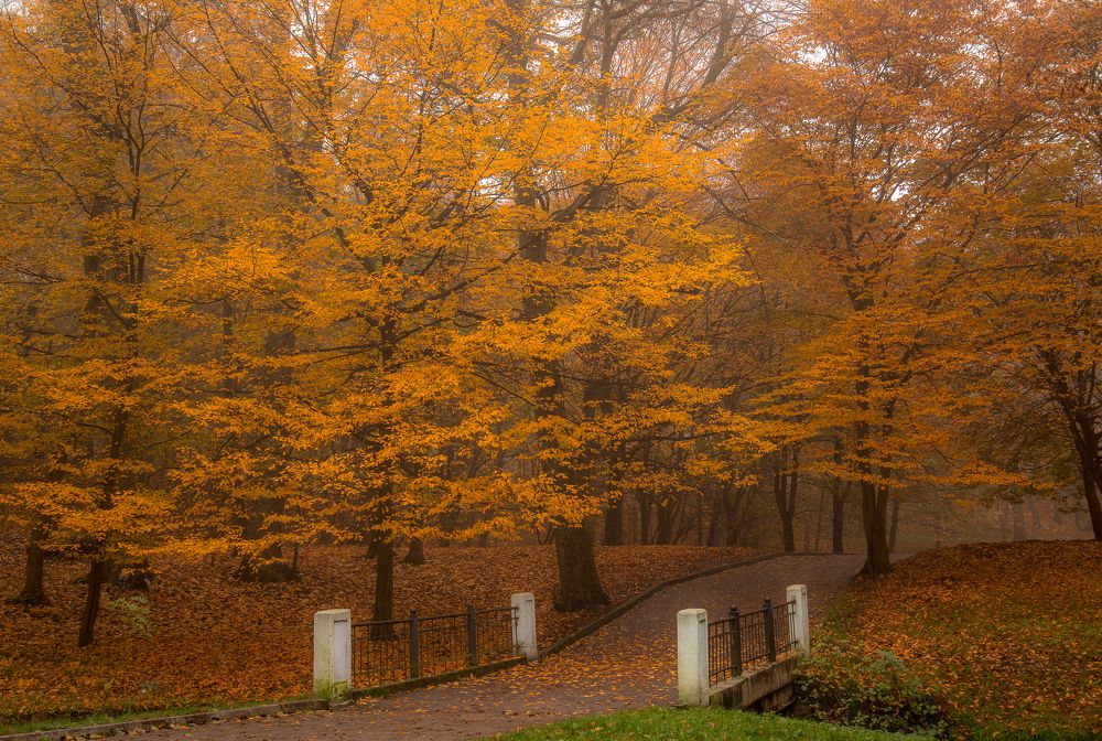 Photograph by Наталья Брюхненко