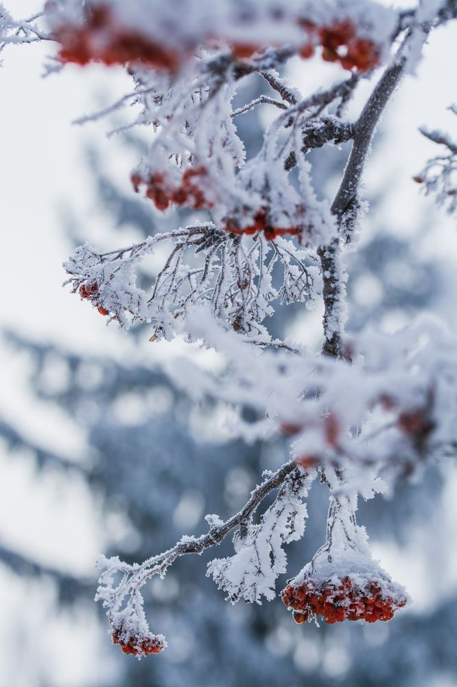 Фотография автора Анастасия