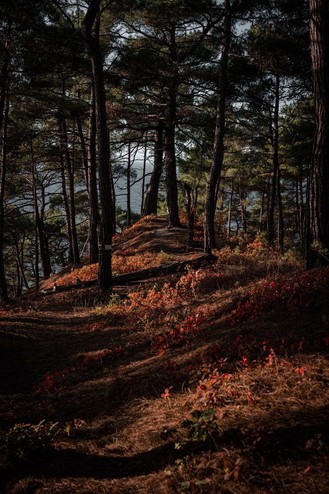 Photograph by Станислав Николаенко
