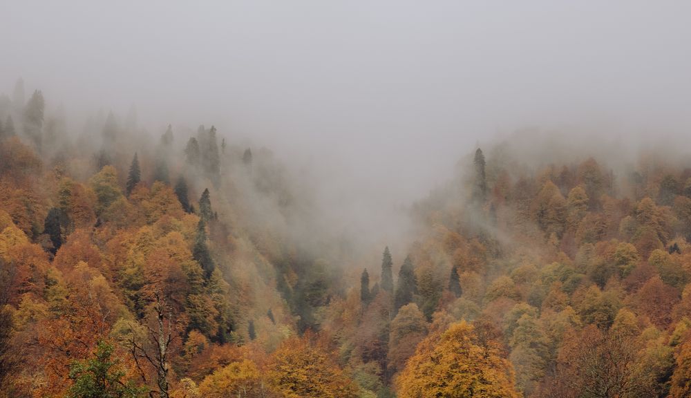 Photograph by Мария Милюхина