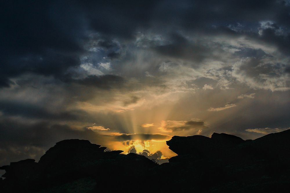 Photograph by Alexandra Sergeeva