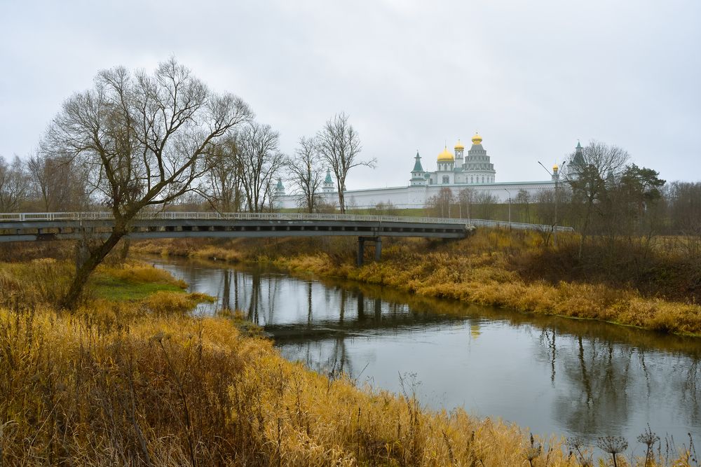 Photograph by Olga Mendosa