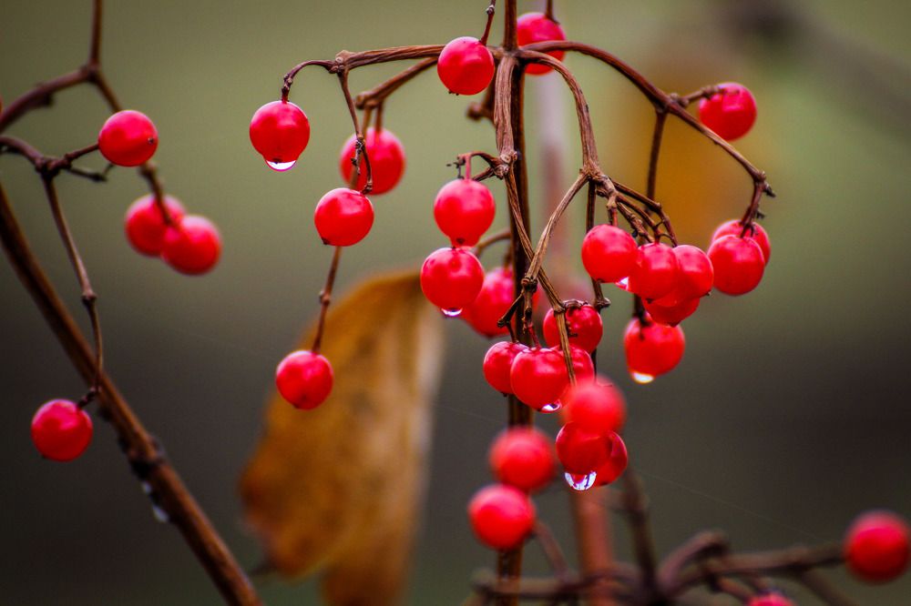 Фотография автора Юрий Фефилов