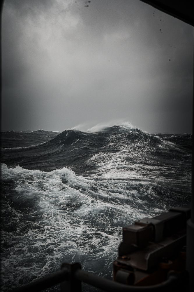 Photo #8358143