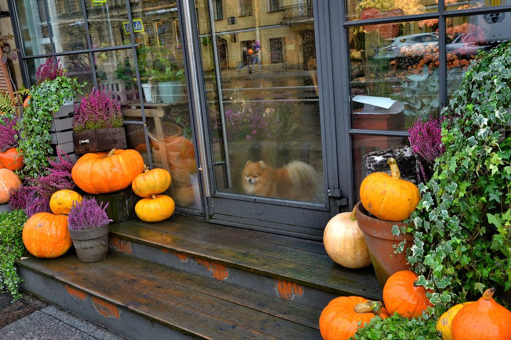 Photograph by Константин Мишнаевский