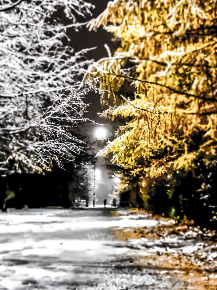 Photograph by Андрей Баталов