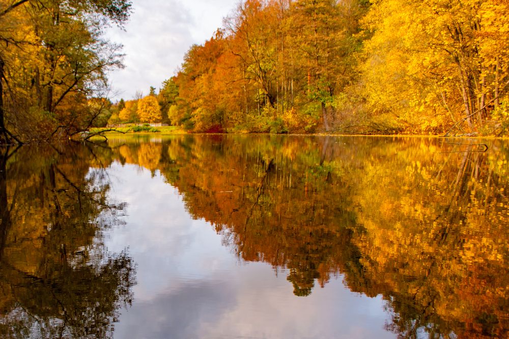 Photograph by Ольга Заповедная