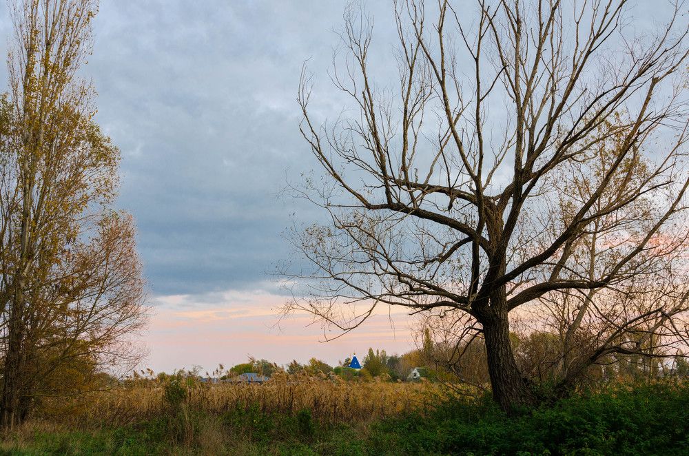 Photograph by Редько Александр