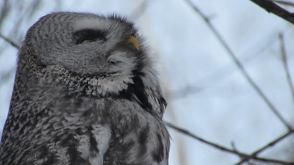 Photograph by Мария Глухова