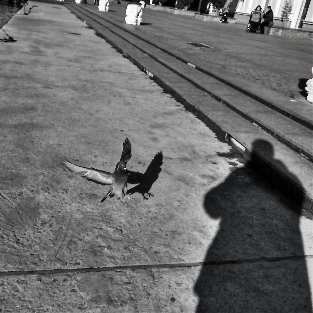 Photograph by Александр Кудрявцев