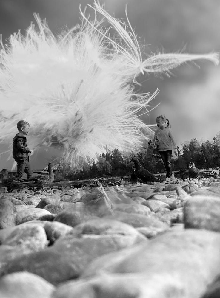 Photograph by Марина Толстопятова