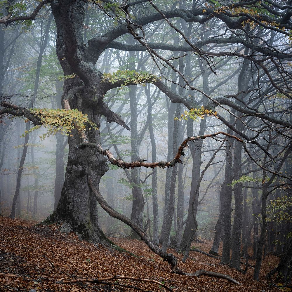 Photograph by Константин Калинин