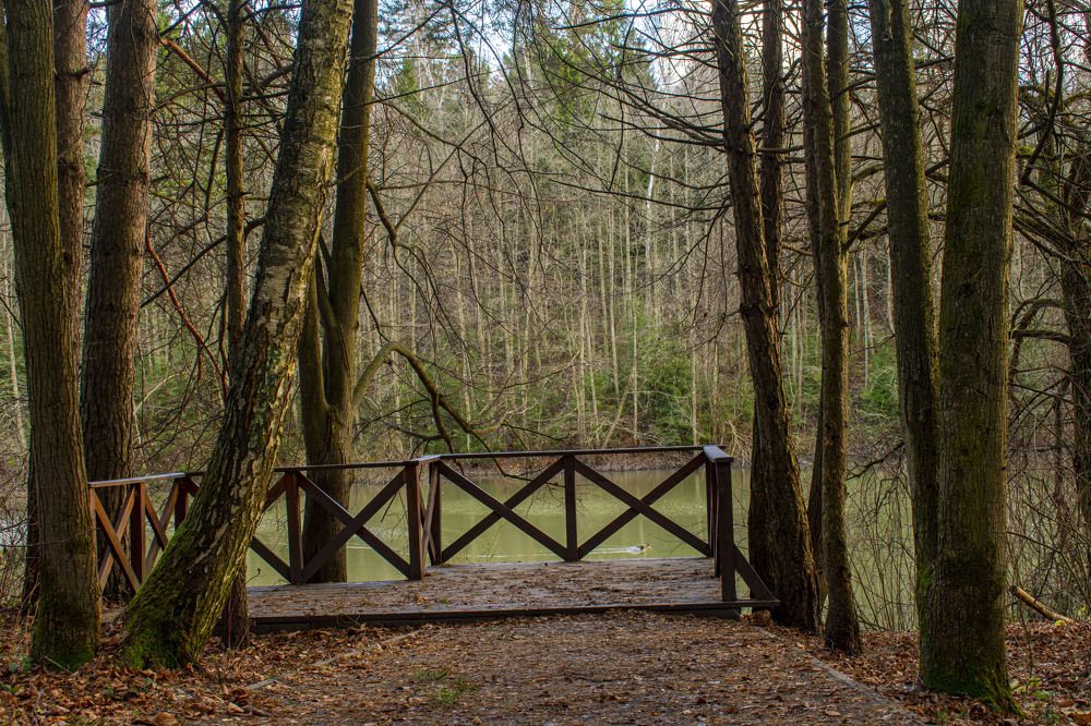 Photograph by Оксана Губанова