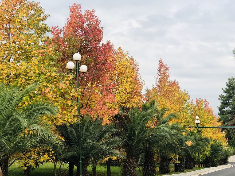 Photograph by Дмитрий Цикин