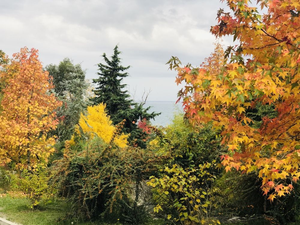 Photograph by Дмитрий Цикин