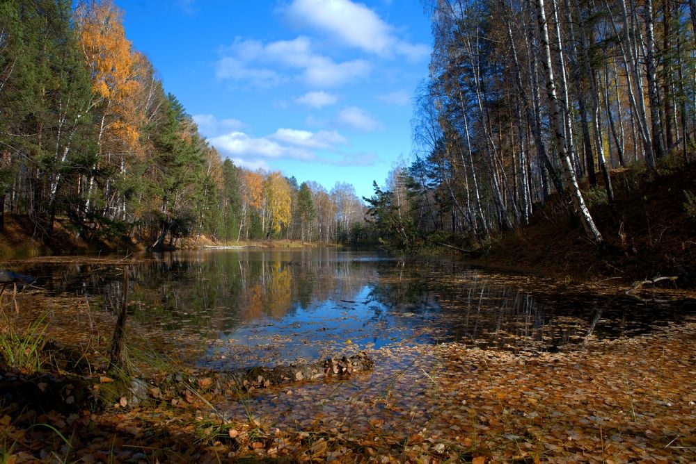 Фотография автора Сергей Чесноков