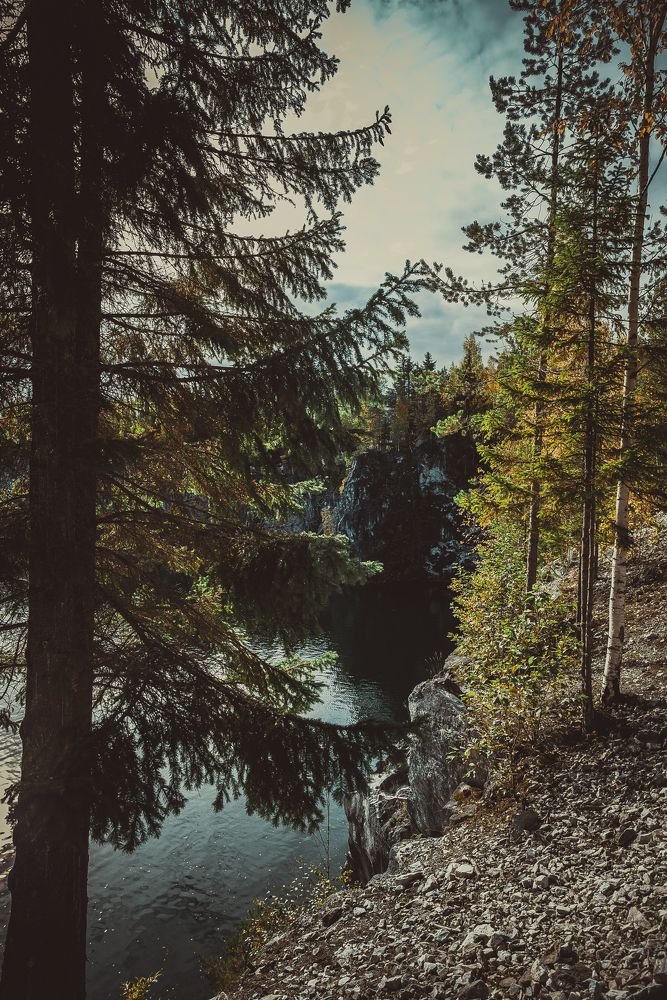 Photograph by Алексей Петров