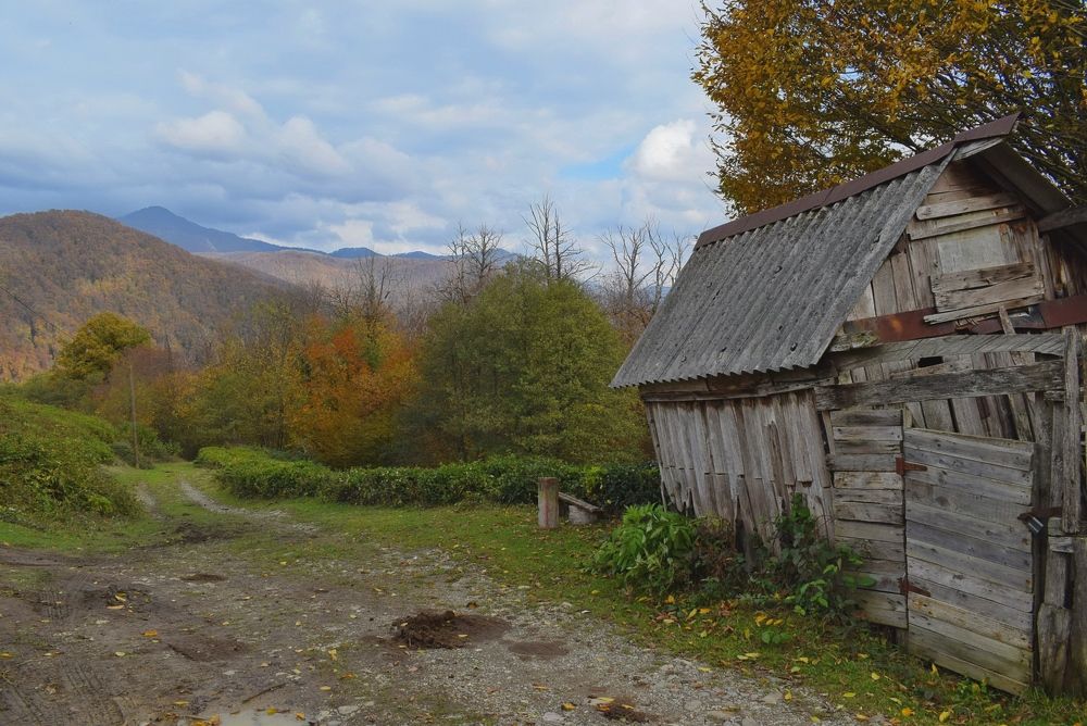Фотография автора лилия беланова