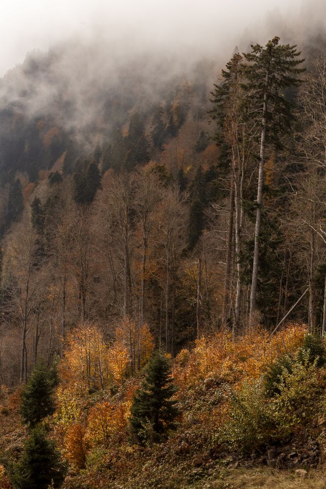 Photograph by Анастасия Петрова