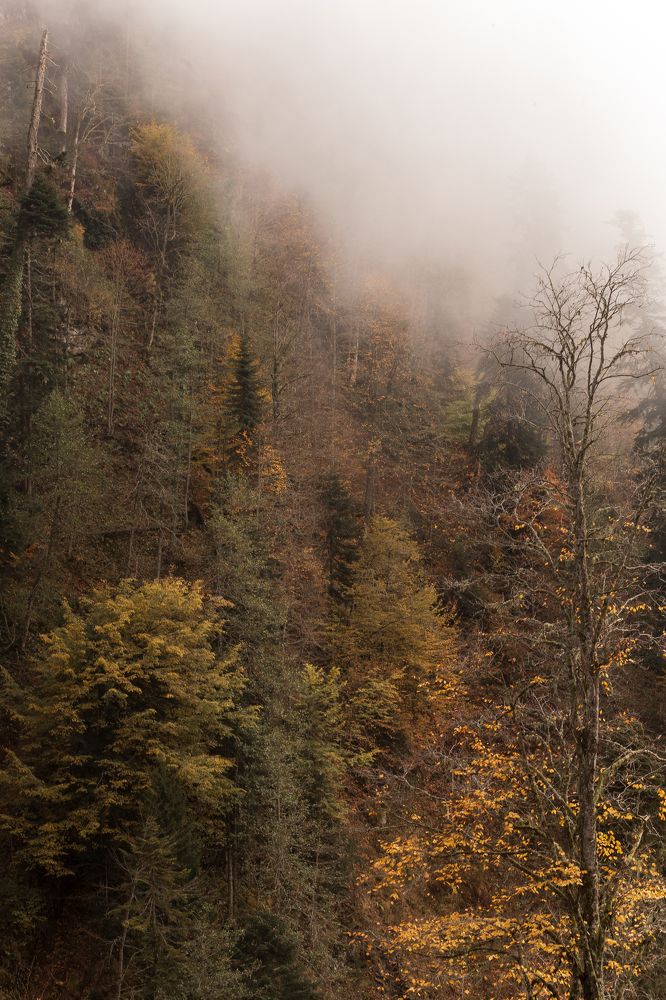 Photograph by Анастасия Петрова