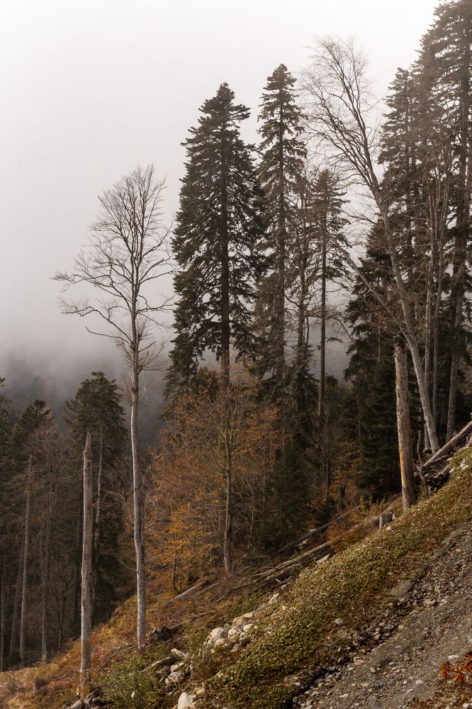 Photograph by Анастасия Петрова