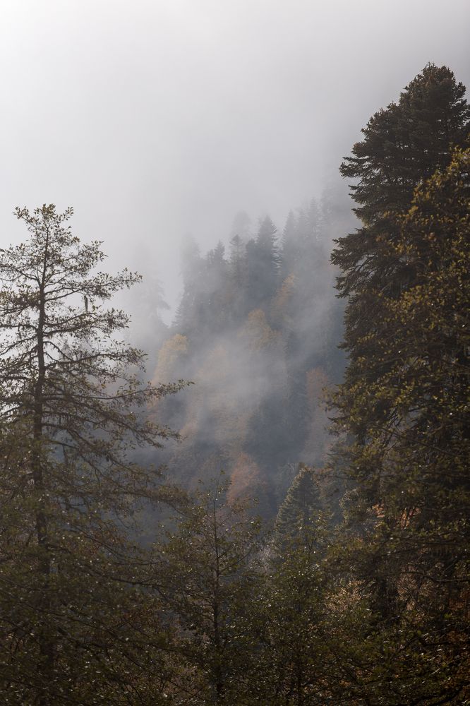 Photograph by Анастасия Петрова