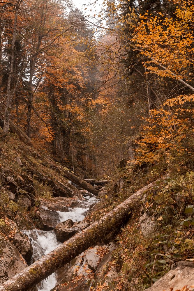 Photograph by Анастасия Петрова