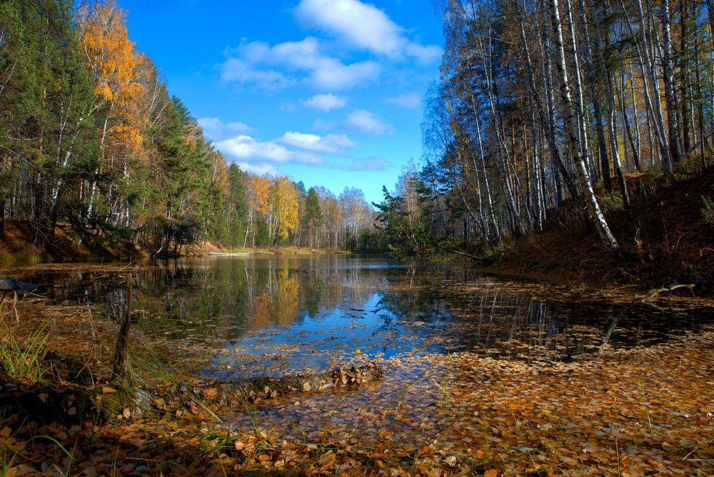 Фотография автора Сергей Чесноков
