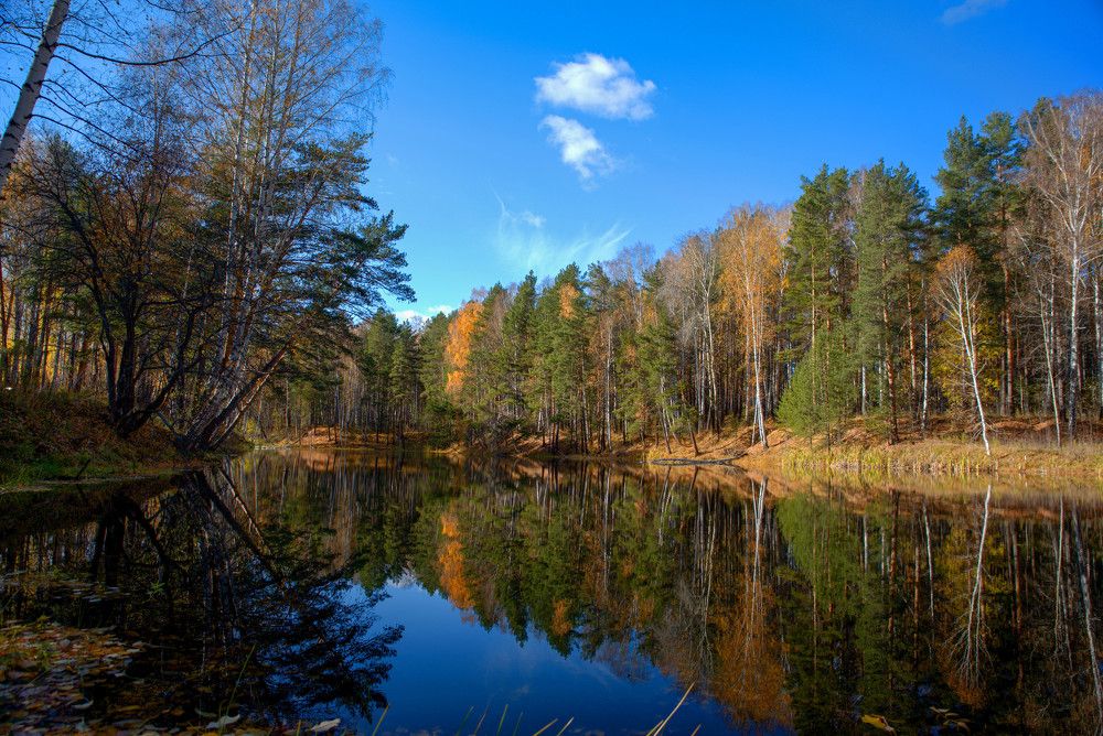 Фотография автора Сергей Чесноков