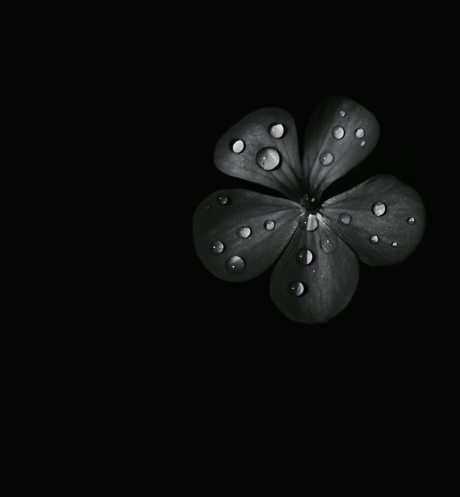 Photograph by Елена