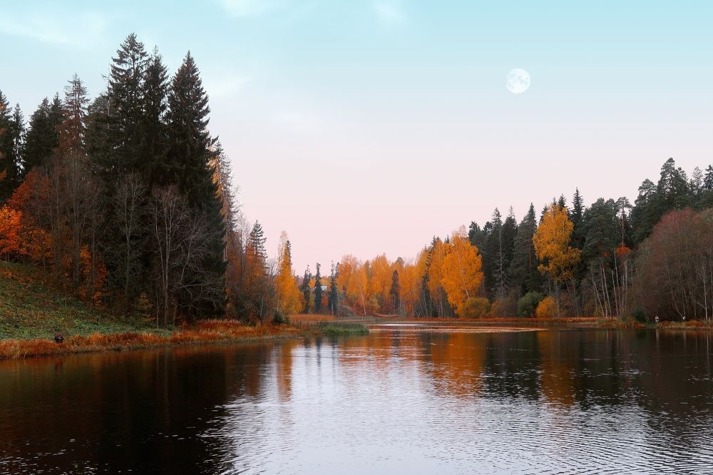 Photograph by Dark Ambient