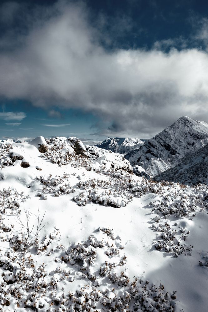 Photograph by Татьяна Власенко