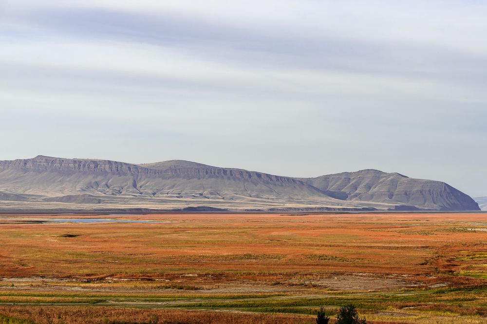 Photograph by Екатерина Дубровская