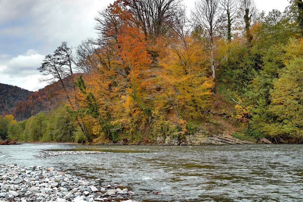 Фотография автора лилия беланова