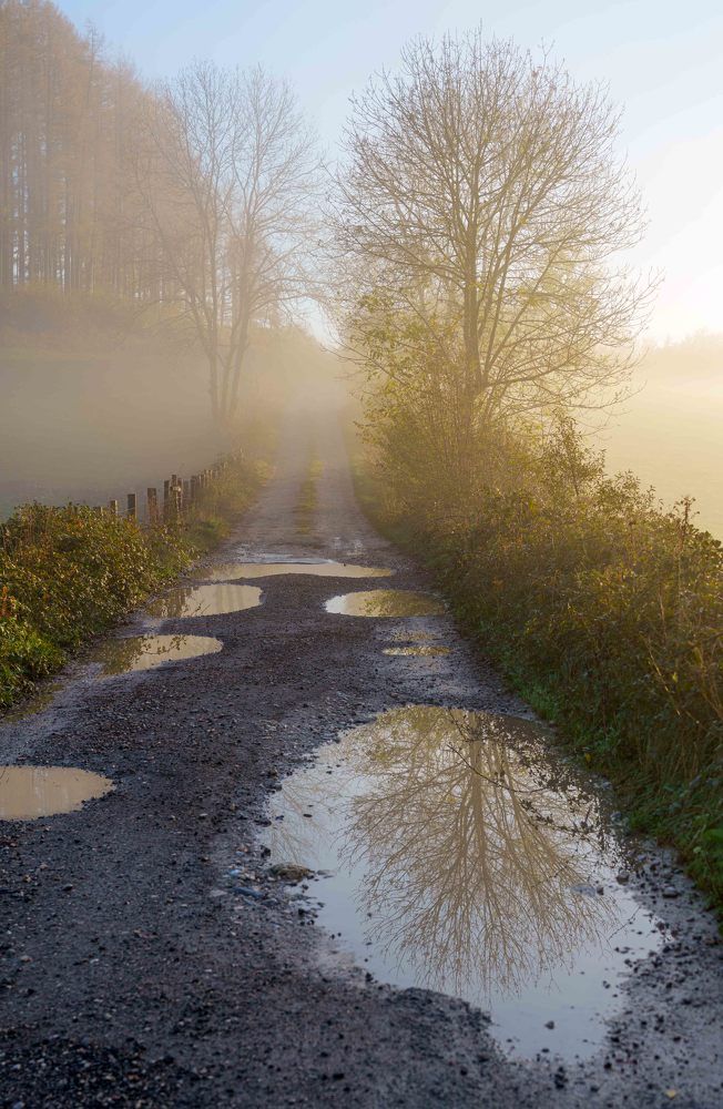 Photograph by José Antonio Gómez Mateo
