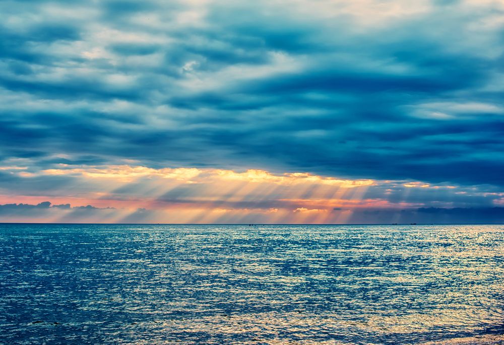 Photograph by Ксения Базарова