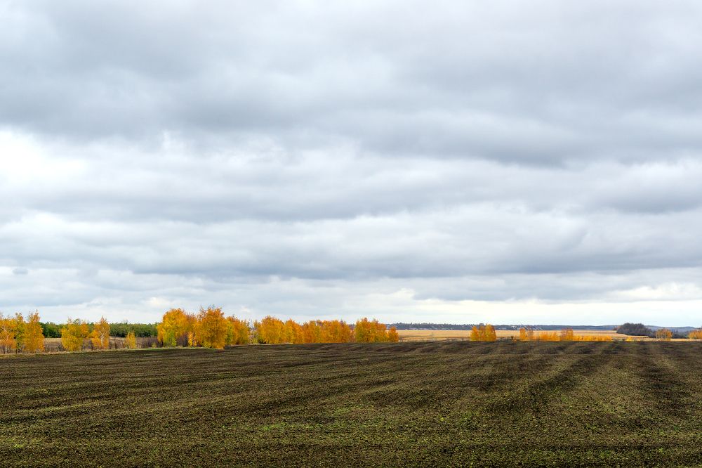 Photograph by Сергей Брызгалов