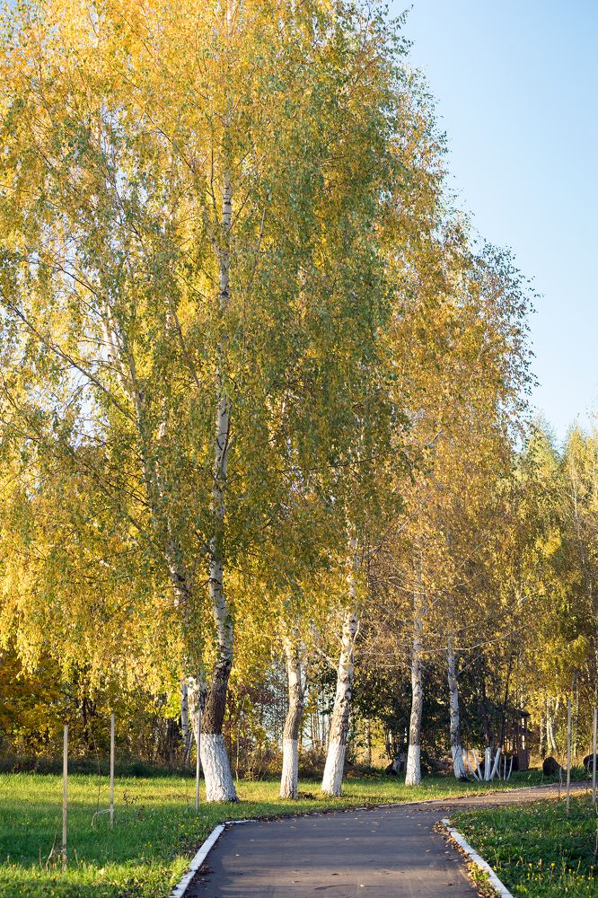 Photograph by Сергей Брызгалов