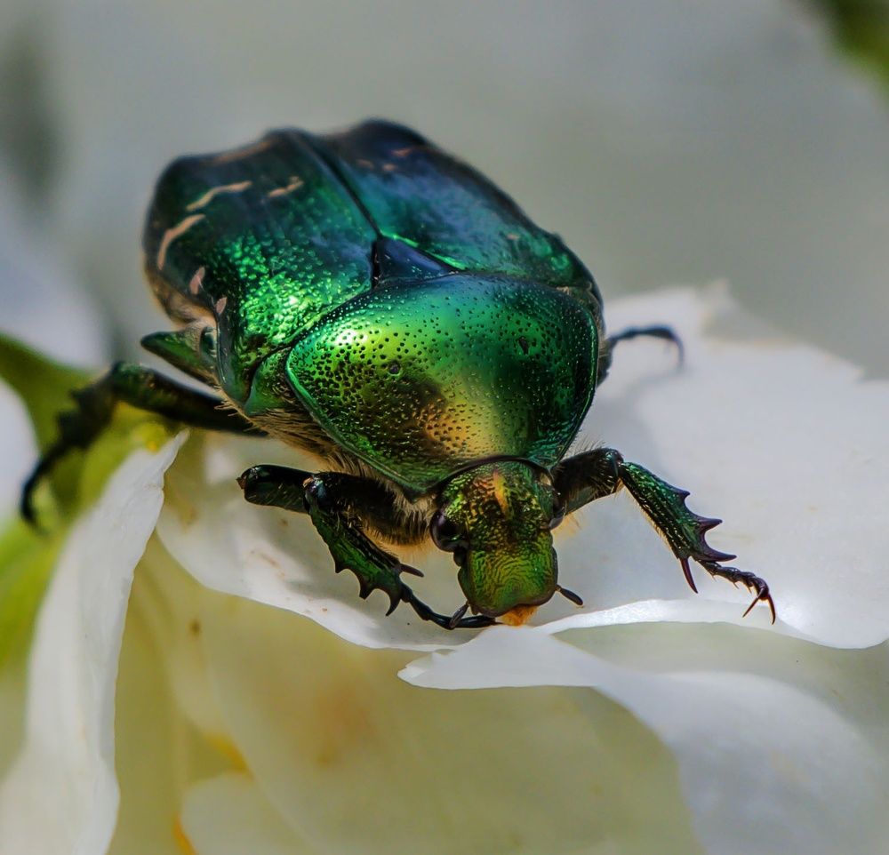 Photograph by Валентина Евгеньевна Семина