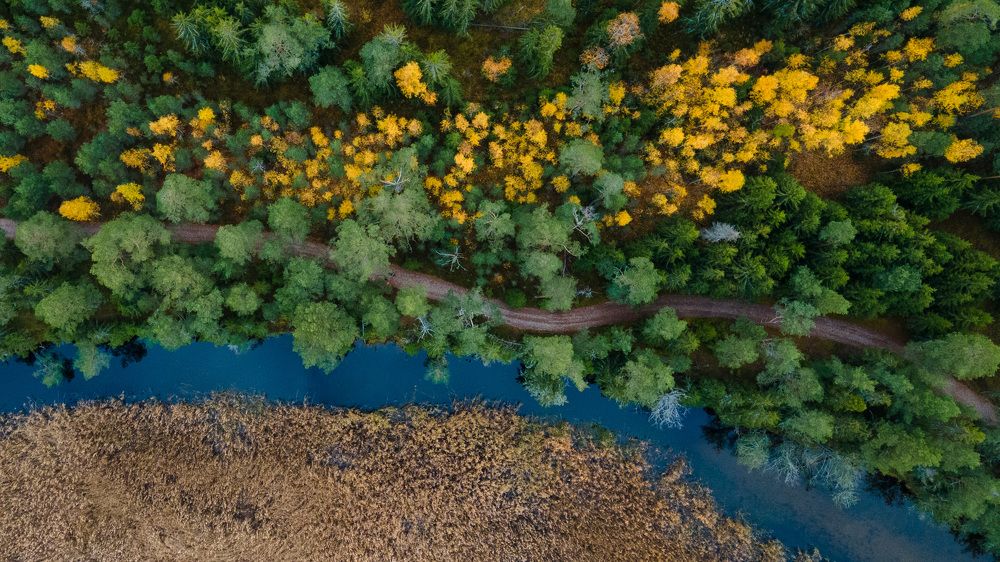 Photograph by Аркадий Старочкин