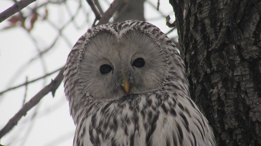 Photograph by Мария Глухова