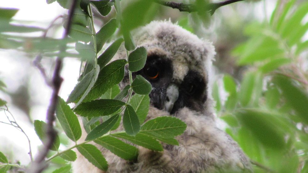 Photograph by Мария Глухова