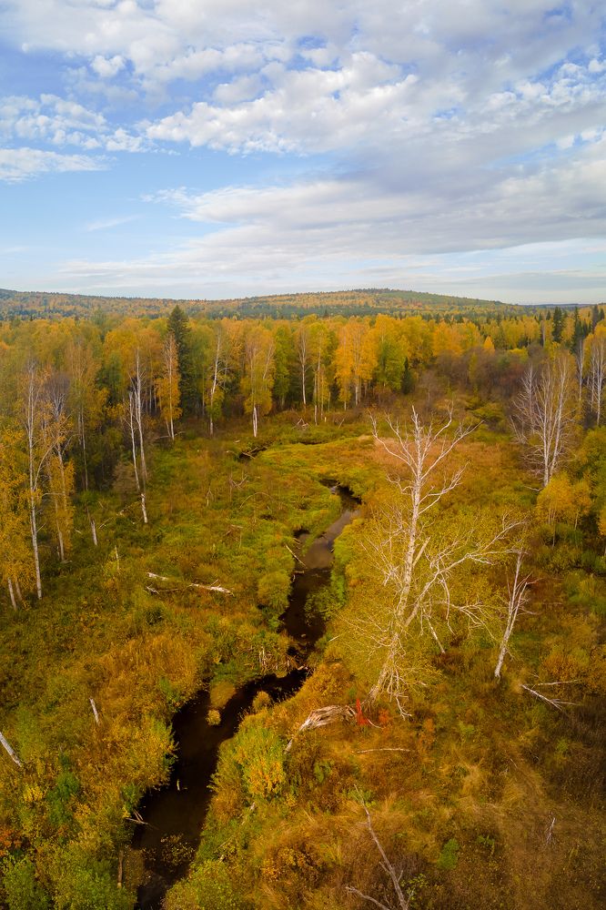 Photograph by Жданов Дмитрий