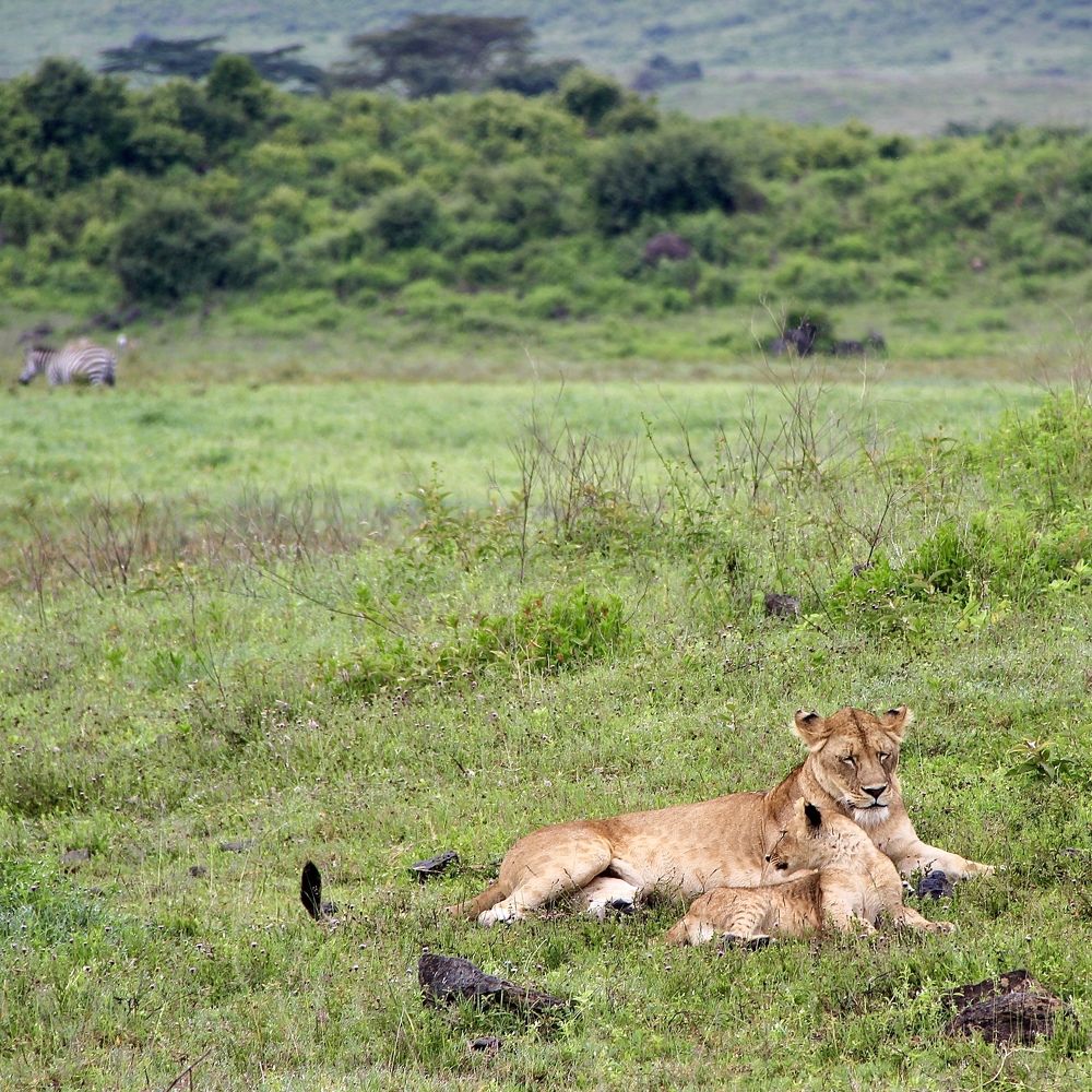 Photograph by Олег Банковский