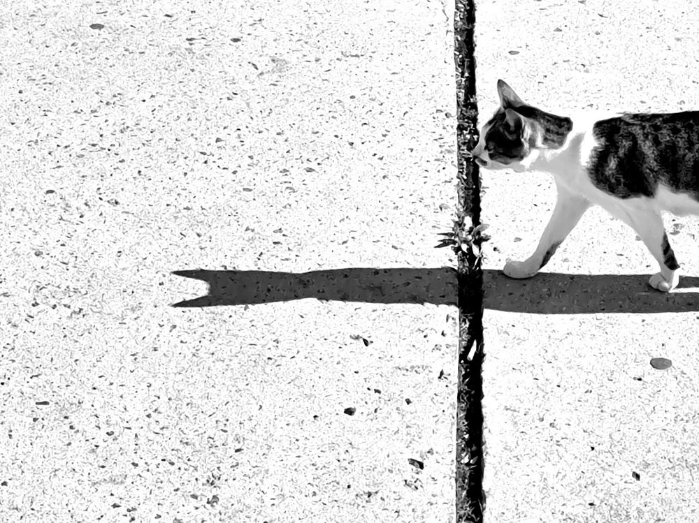 Photograph by George Pavlov