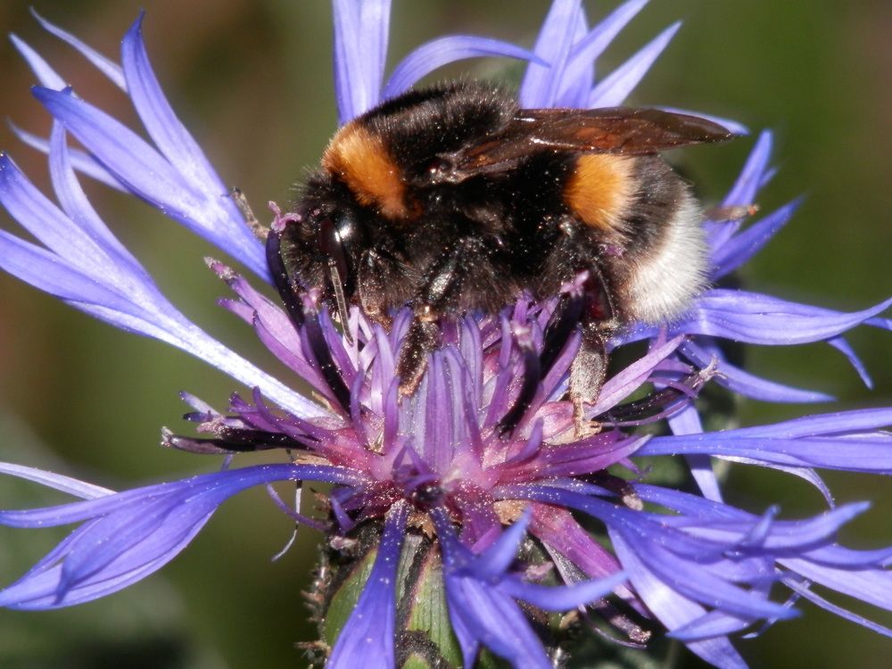 Photograph by Георгий Салюков