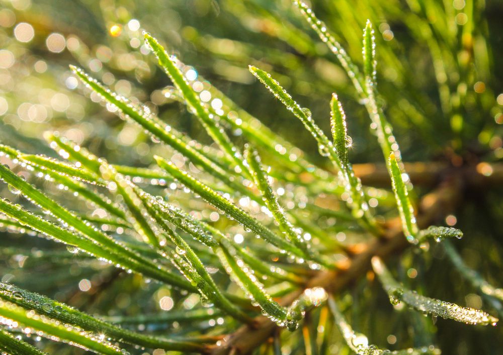 Photograph by Матвей Короткин