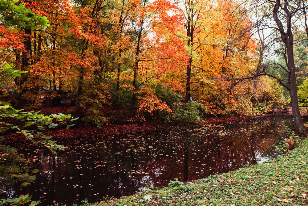 Photograph by Сергеева Марина