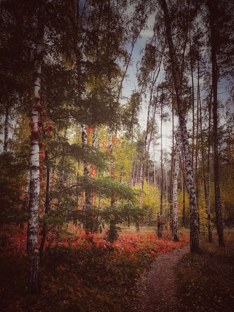 Photograph by Виктория Селютина