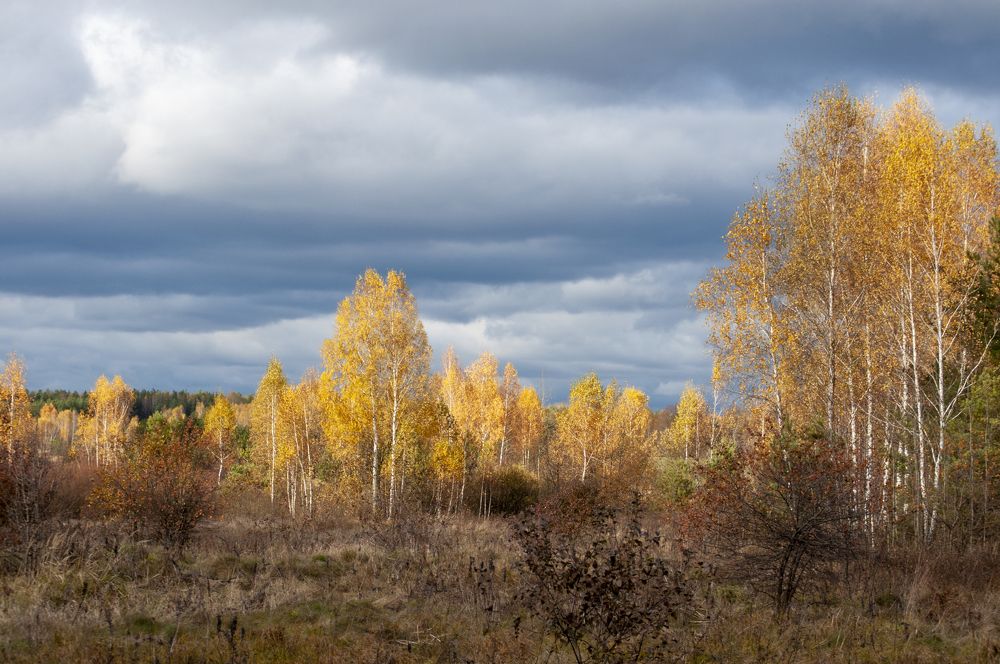 Photograph by Ольга Бондаренко